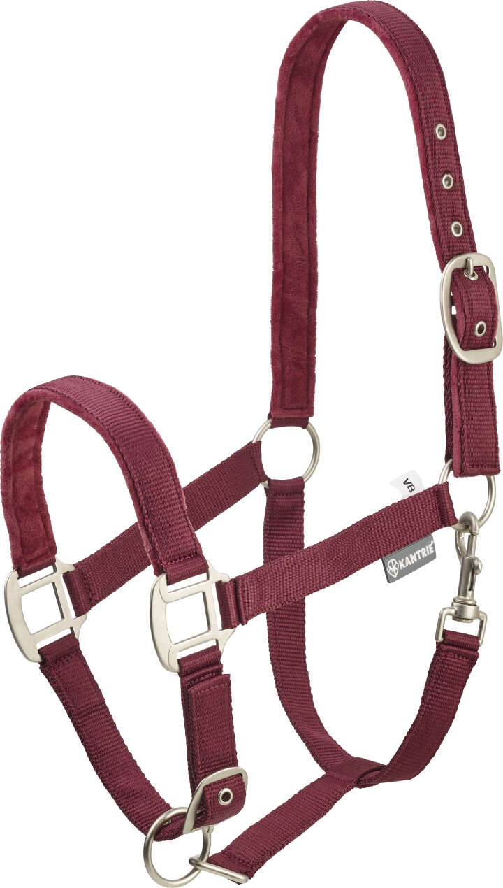 KANTRIE Halfter Satin